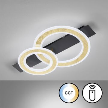Fischer&Honsel Circle 21433 plafon sufitowy 1x20W/LED 2700K IP20