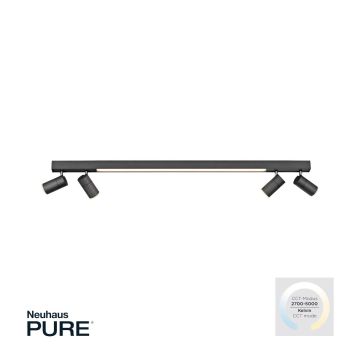Paul Neuhaus PURE-LINE 6121-13 lampa sufitowa 5x4W/LED CCT IP20 2700K-3000K 1280lm