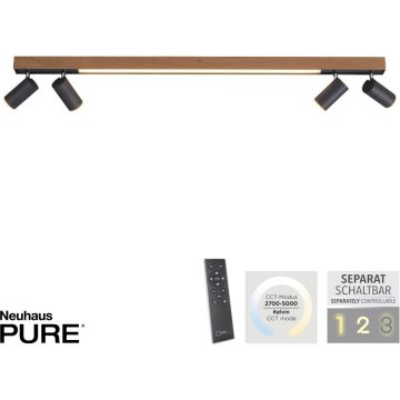 Paul Neuhaus PURE-LINES 6121-79 lampa sufitowa 5x25W/LED 1280lm 2700-5000k ip20