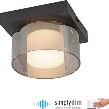 Paul Neuhaus RIKA 6162-18 lampa sufitowa 1x6W/LED 680lm 3000k ip20