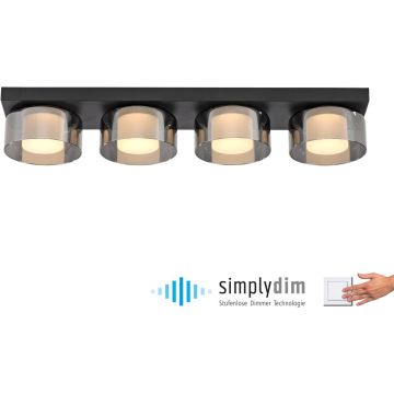 Paul Neuhaus RIKA 6164-18 lampa sufitowa 4x24W/LED 3800lm 3000k ip20