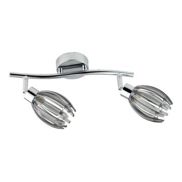 Prezent EZZO II. 61207 spot 2x33W/G9 IP20