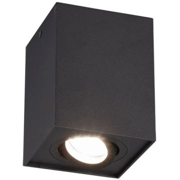 Trio BISCUIT 613000132 downlight natynkowy 1x35w/gu10   ip20