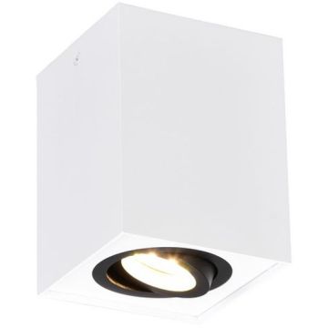 Trio BISCUIT 613000134 downlight natynkowy 1x35w/gu10   ip20