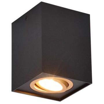 Trio BISCUIT 613000180 donwlight natynkowy 1x35w/gu10   ip20
