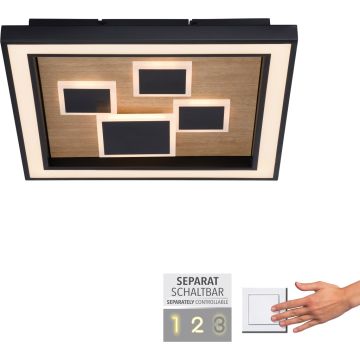 Paul Neuhaus ELIZA 6283-79 lampa sufitowa 1x55W/LED 5760lm 3000k ip20