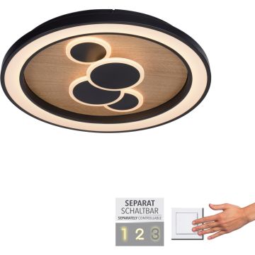Paul Neuhaus ELIZA 6284-79 lampa sufitowa 1x63W/LED 6620lm 3000k ip20