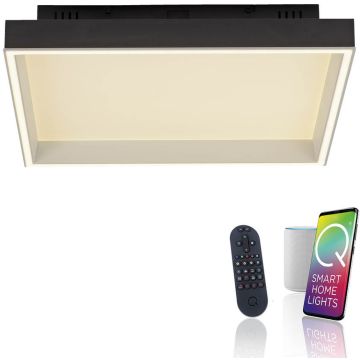 Paul Neuhaus Q-MAGONG 6316-18 lampa sufitowa 1x40W/LED 5700lm 2700-5000k ip20