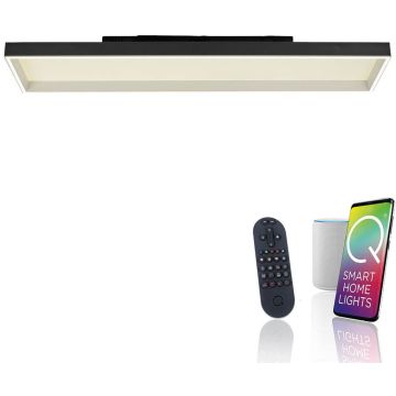 Paul Neuhaus Q-MAGONG 6317-18 lampa sufitowa 1x52W/LED 5800lm 2700-5000k ip20