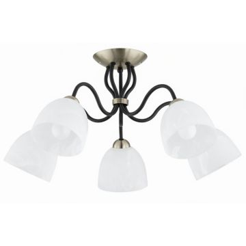 Alfa ARIEL 63428 lampa sufitowa 5x15W/E27   