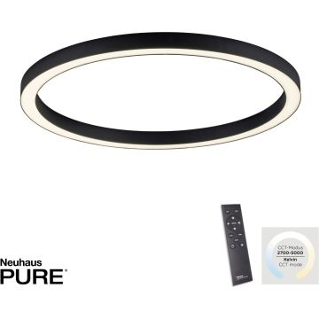Paul Neuhaus PURE-LINES 6306-13 lampa wisząca 1x42W/LED 4100lm 2700-5000k ip20
