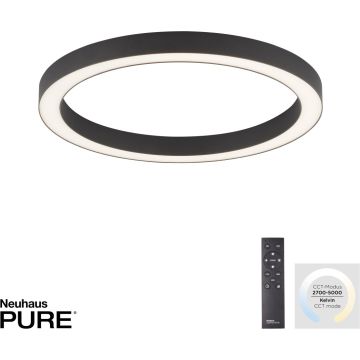 Paul Neuhaus PURE-LINES 6309-13 lampa sufitowa 1x30W/LED 2800lm 2700-5000k ip20