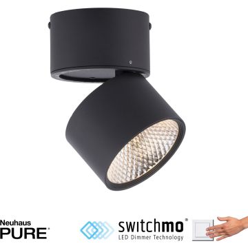 Paul Neuhaus PURE-NOLA 6451-18 spot 1x17W/LED 1900lm 3000k ip20