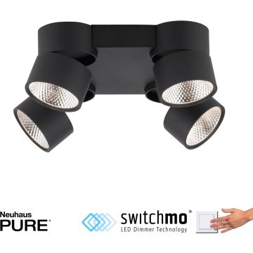 Paul Neuhaus PURE-NOLA 6454-18 lampa sufitowa 4x66W/LED 7600lm 3000k ip20