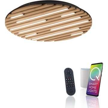 Paul Neuhaus Q-AKUSTIK 6421-79 spot 1x38W/LED 3360lm 2700-5000k ip20