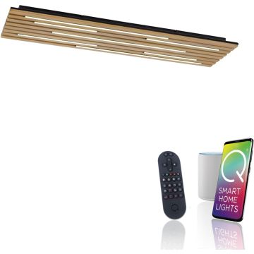 Paul Neuhaus Q-AKUSTIK 6422-79 spot 1x48W/LED 4440lm 2700-5000k ip20