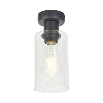 Prezent ORADEA 64424 lampa sufitowa 1x40W/E27 IP20
