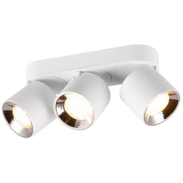 Trio GUAYANA 651000331 spot 3x10w/gu10   ip20