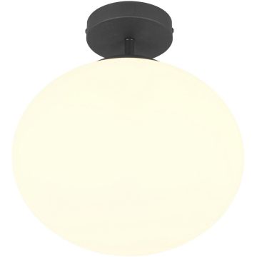 Trio FOMENTO 663100132 lampa sufitowa 1x15w/e27   ip20