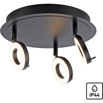 Paul Neuhaus SILEDA 6788-13 lampa sufitowa 3x22W/LED 2550lm 3000k ip44