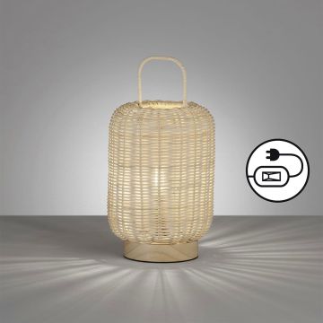 Fischer&Honsel Nature 50738 lampa stołowa 1x25W/E14  IP20