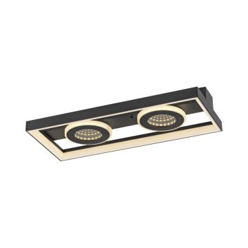 Paul Neuhaus TRAFORO 6854-18 plafon sufitowy 1x20W/LED 2700K-5000K IP20 600lm