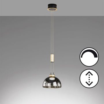 Fischer&Honsel Avignon 61013 lampa wisząca 1x9W/LED 2700K IP20