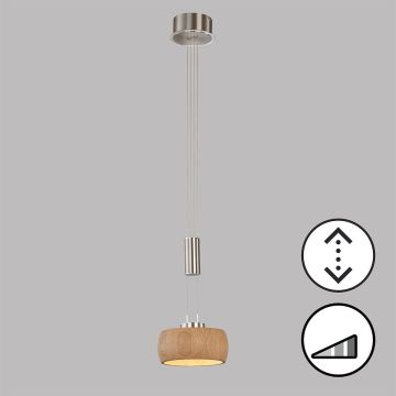 Fischer&Honsel SHINE-WOOD 61075 lampa wisząca 1x9W/LED 2700K IP20