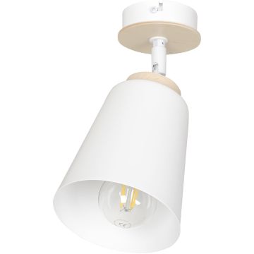 Emibig ATLAS 1 WHITE 724/1 lampa sufitowa 1x15W/E27 IP20