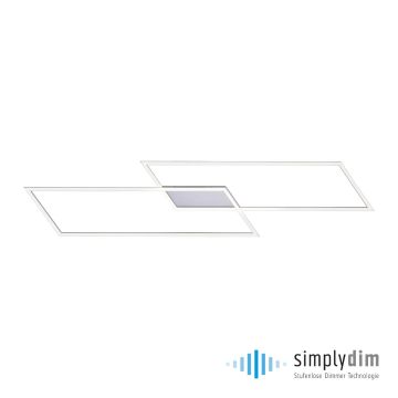 Paul Neuhaus INIGO 8194-55 lampa sufitowa 2x20W/LED IP20 3000K 2700lm