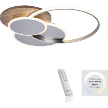 Paul Neuhaus PALMA 8328-79 lampa sufitowa 1x55W/LED 6000lm 2700-5000k ip20