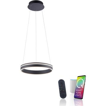 Paul Neuhaus Q-VITO 8410-13 lampa wisząca 1x33W/LED 3250lm 2700-5000k ip20