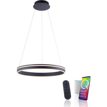 Paul Neuhaus Q-VITO 8411-13 lampa wisząca 1x44W/LED 4550lm 2700-5000k ip20