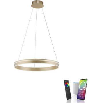Paul Neuhaus Q-VITO 8411-60 lampa wisząca 1x44W/LED 4550lm 2700-5000k ip20