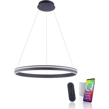 Paul Neuhaus Q-VITO 8412-13 lampa wisząca 1x65W/LED 7000lm 2700-5000k ip20