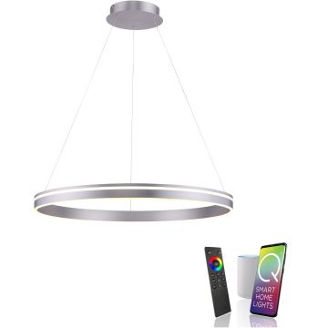 Paul Neuhaus Q-VITO 8412-55 lampa wisząca 1x65W/LED 7000lm 2700-5000k ip20