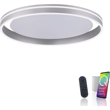 Paul Neuhaus Q-VITO 8416-55 lampa sufitowa 1x44W/LED 4570lm 2700-5000k ip20