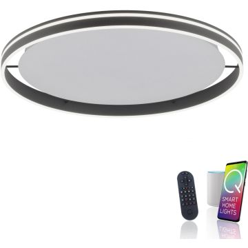 Paul Neuhaus Q-VITO 8418-13 lampa sufitowa 1x65W/LED 7000lm 2700-5000k ip20