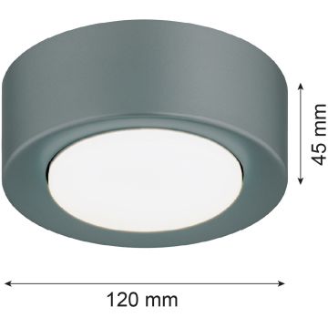Argon ELORA 8917 plafon sufitowy 1x12W/GX53   IP20