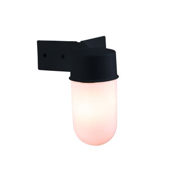 Endon Ware EL-40088 kinkiet 40W/E27 IP44 