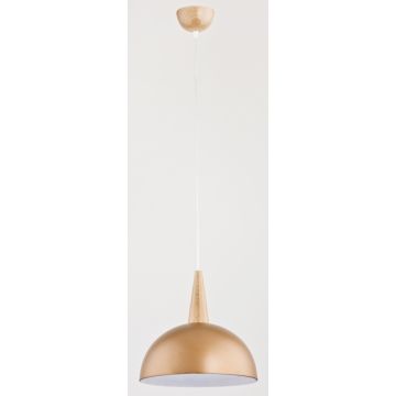 Alfa ANJA 9649 lampa wisząca 1x60W/E27 