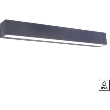 Paul Neuhaus ROBERT 9676-13 kinkiet 1x36W/LED 4690lm 3000k ip65