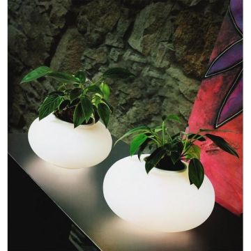 AZzardo FLORA AZ0185 lampka stołowa 3x60W/E27 IP20 