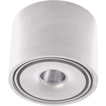 AZzardo BOSTON TUBE AZ3469 downlight natynkowy 1x10W/LED IP20 685lm