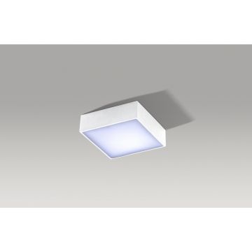 AZzardo FALCO2 AZ2781 downlight natynkowy 1x12W/LED IP20 955lm