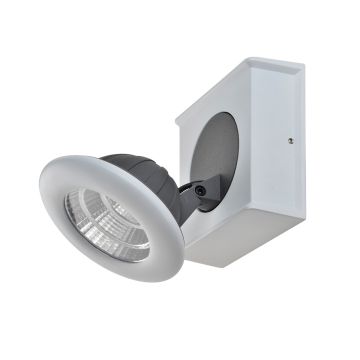Italux CATALINA FH31781A13 reflektorek ścienno-sufitowy 1x7W/LED 