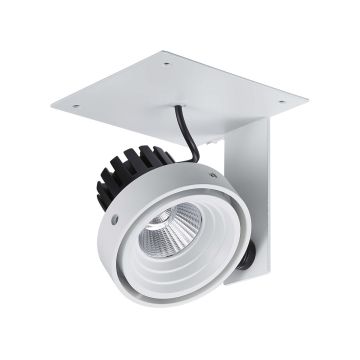 Italux PATRIZIO GL7118-1/1X12W 4000K WH+BL reflektorek sufitowy 1x12W/LED 4000K