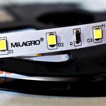 Milagro Taśma LED Pro 5m 60/1mb 24W/500cm Zimna biała 6000K IP20