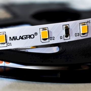 Milagro Taśma LED Pro 5m 60/1mb 24W/500cm Ciepła biała 3000K IP20