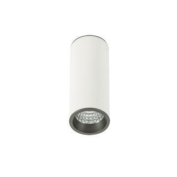 Italux MOLDES SLC7391/7W 3000K WH+GR oprawa natynkowa 1x7W/LED 3000K
